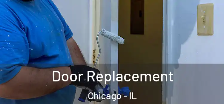  Door Replacement Chicago - IL