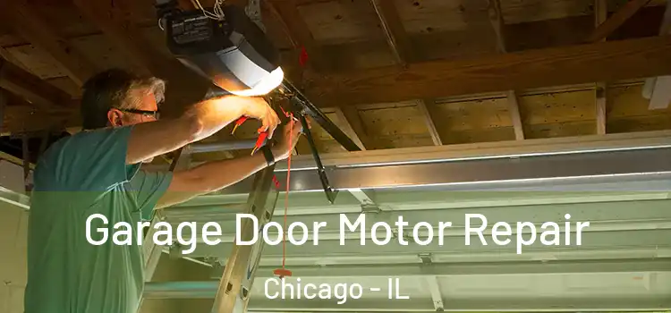  Garage Door Motor Repair Chicago - IL