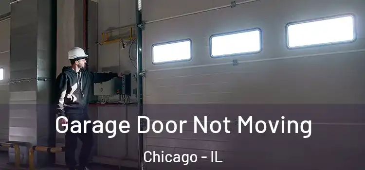  Garage Door Not Moving Chicago - IL