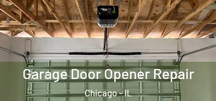  Garage Door Opener Repair Chicago - IL