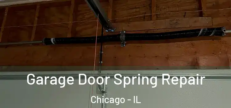  Garage Door Spring Repair Chicago - IL