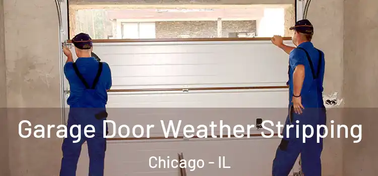  Garage Door Weather Stripping Chicago - IL