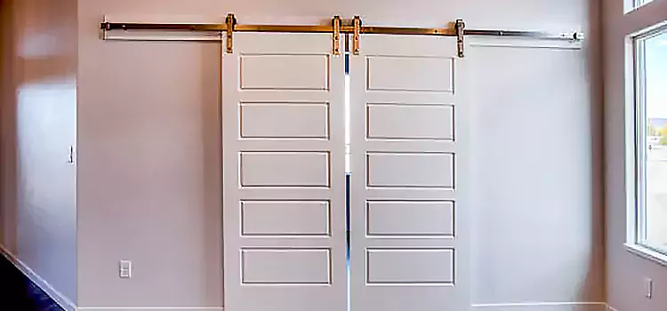Glass Barn Door with Installation Hardware Kit Chicago