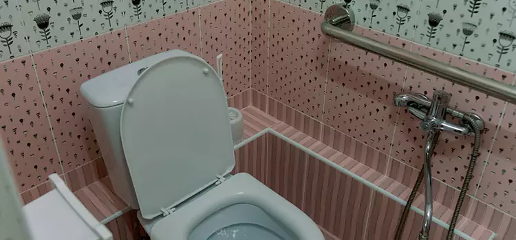 Meeting Diverse Needs With Accessible Restroom Solutions in Chicago, IL