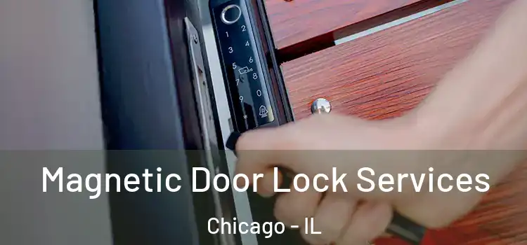 Magnetic Door Lock Services Chicago - IL