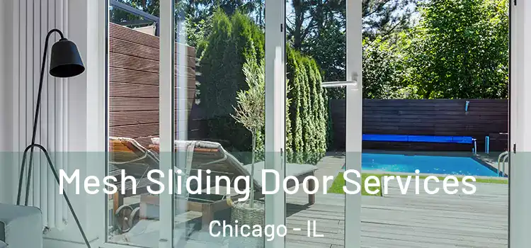 Mesh Sliding Door Services Chicago - IL