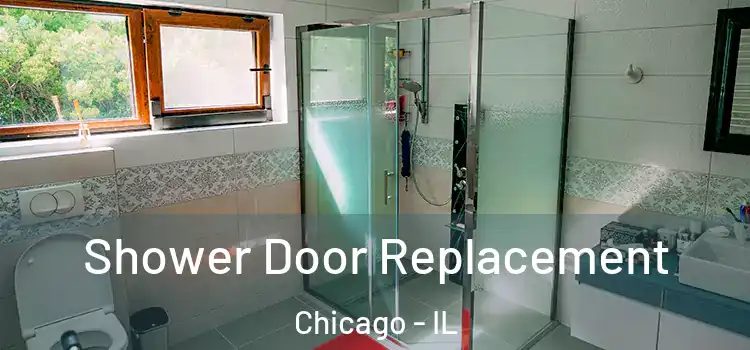 Shower Door Replacement Chicago - IL
